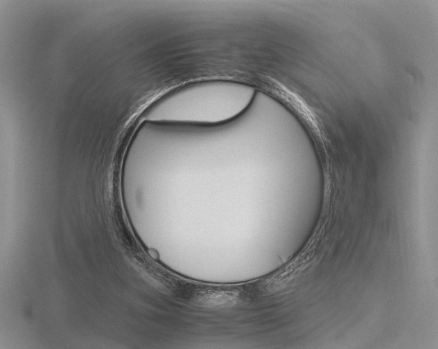 X0000116600155200912110947