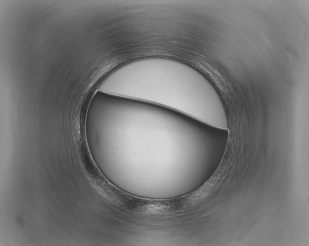 X0000116600158200912110947