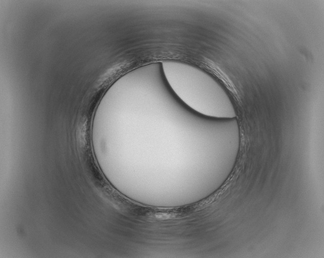 X0000116600163200912110947