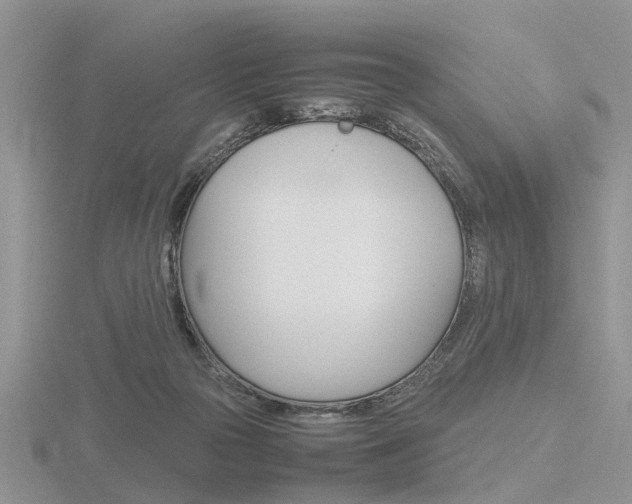 X0000116600169200912110947