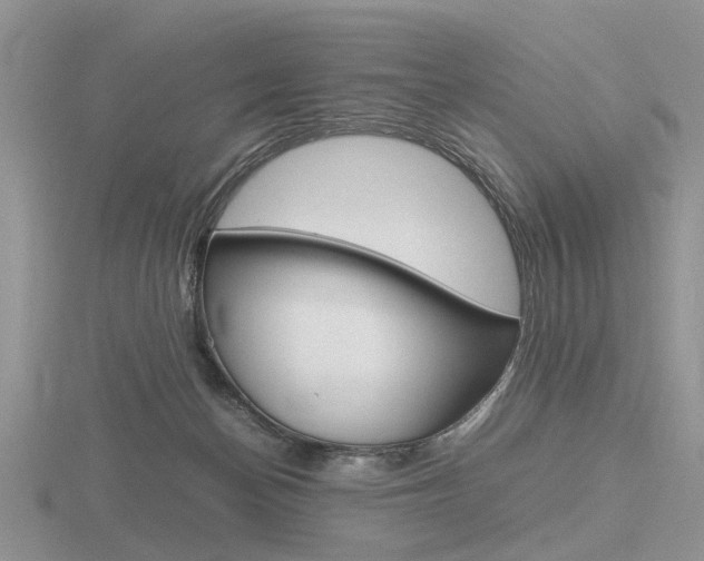 X0000116600174200912110947