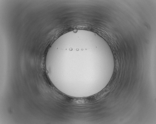 X0000116600181200912110947