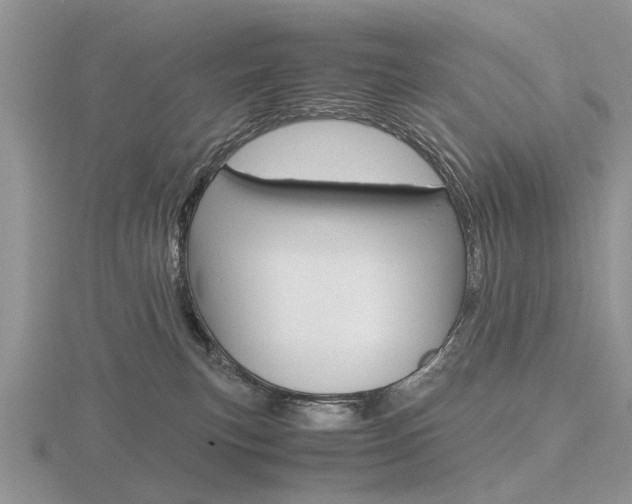 X0000116600183200912110947