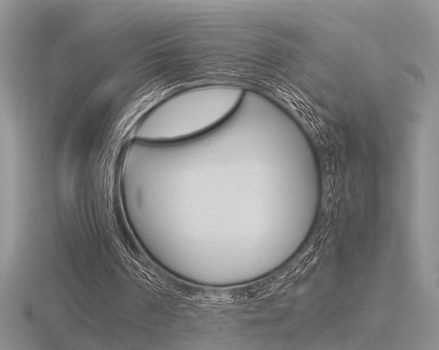 X0000116600194200912110947