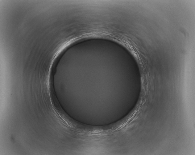 X0000116600196200912110947