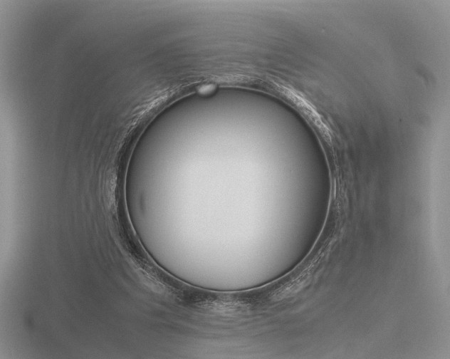 X0000116600201200912110947