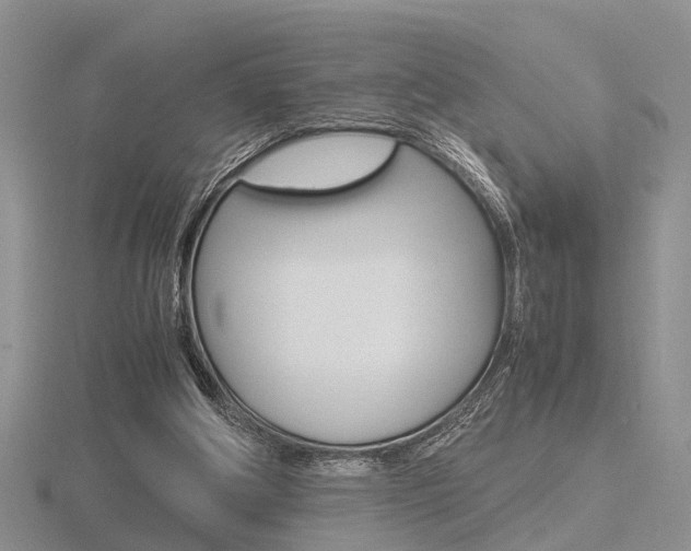 X0000116600202200912110947