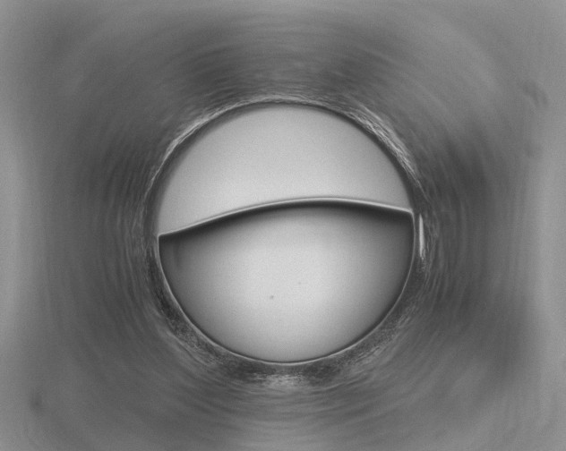 X0000116600204200912110947