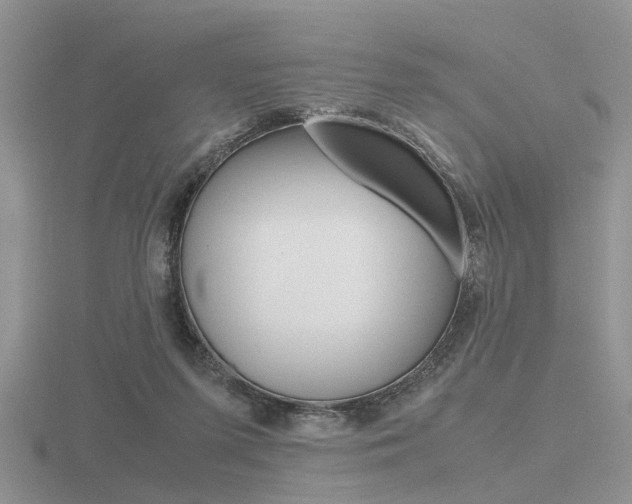 X0000116600215200912110947