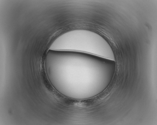 X0000116600216200912110947