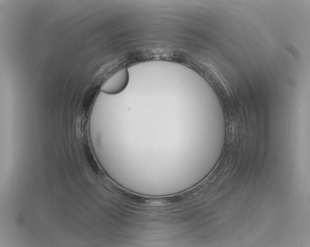 X0000116600218200912110947