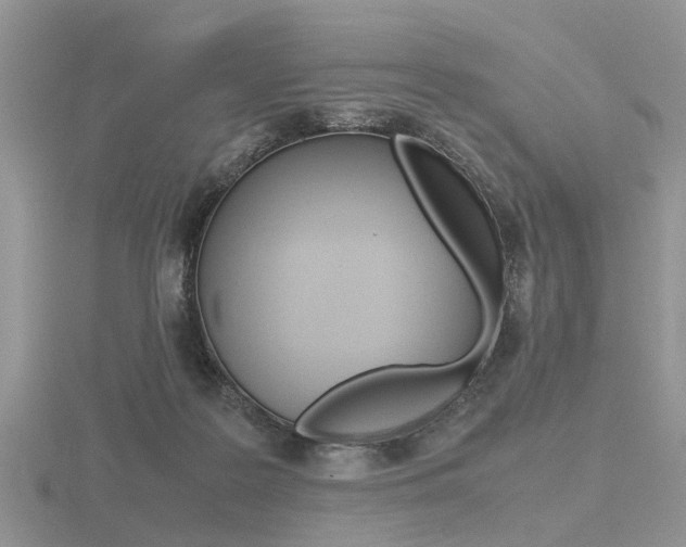 X0000116600219200912110947