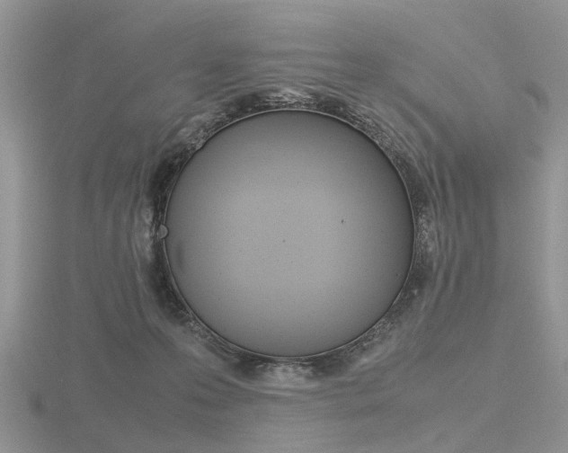X0000116600223200912110947
