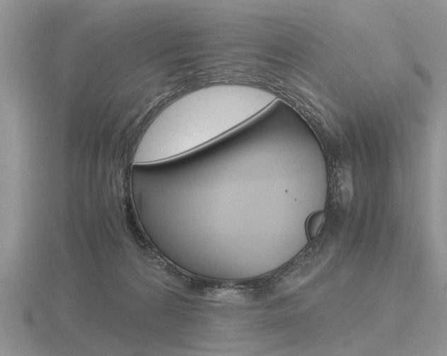 X0000116600224200912110946