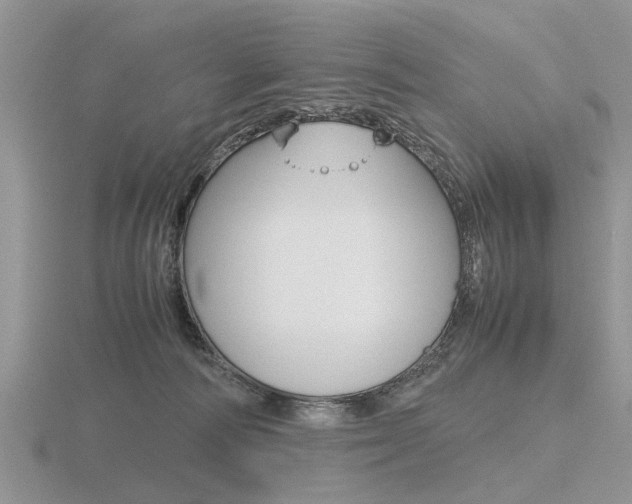 X0000116600226200912110946