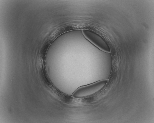 X0000116600227200912110946