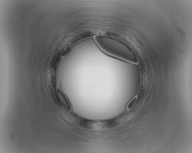 X0000116600229200912110946