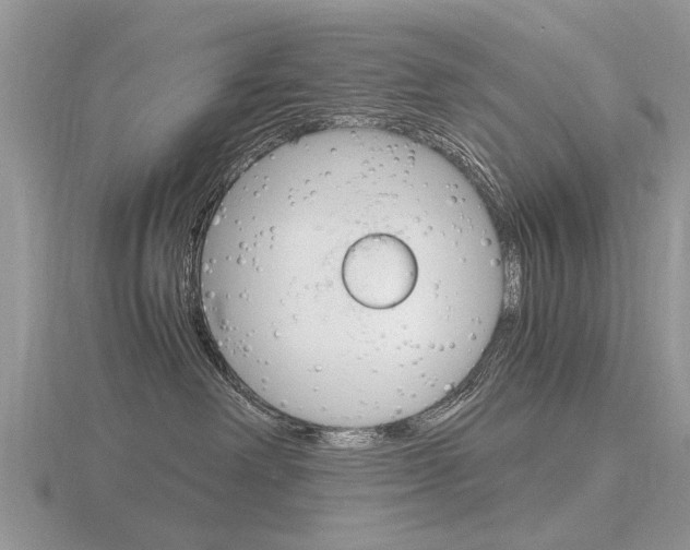 X0000116600238200912110946