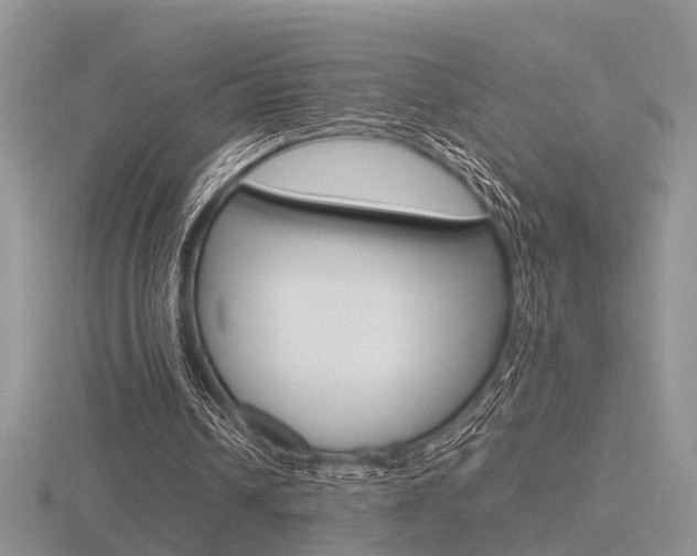 X0000116600242200912110946
