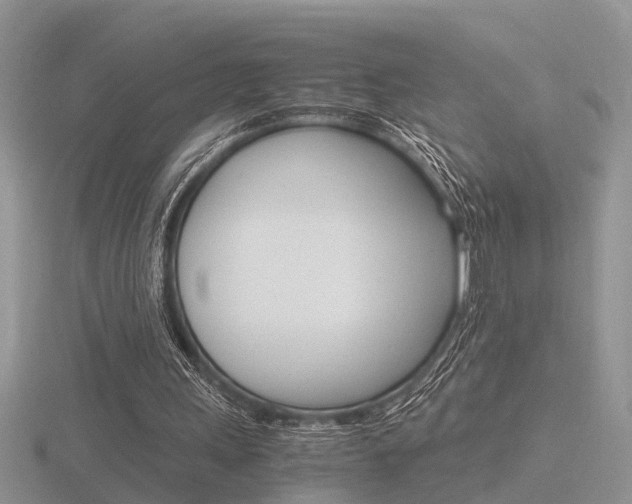 X0000116600243200912110946