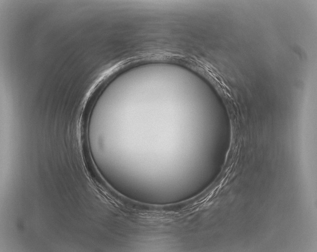 X0000116600244200912110946