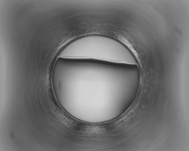 X0000116600249200912110946