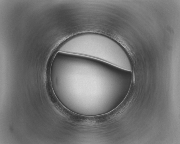 X0000116600252200912110946