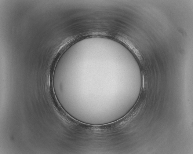 X0000116600253200912110946