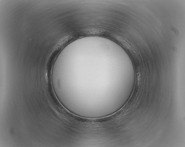 X0000116600254200912110946