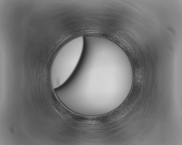 X0000116600255200912110946