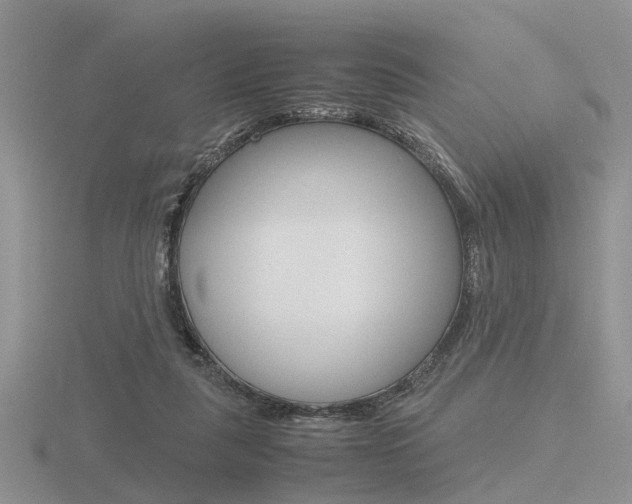 X0000116600259200912110946