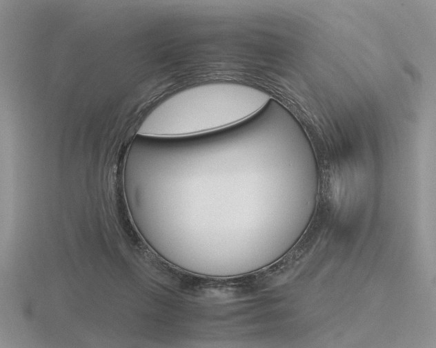 X0000116600263200912110946