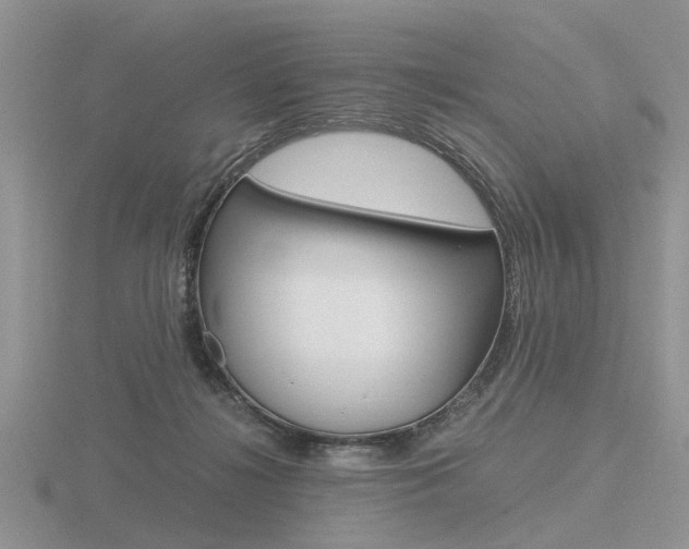X0000116600268200912110946