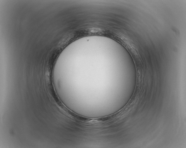 X0000116600269200912110946