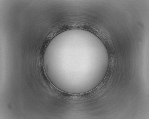 X0000116600272200912110946