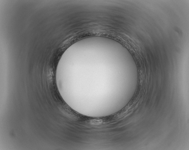 X0000116600279200912110946