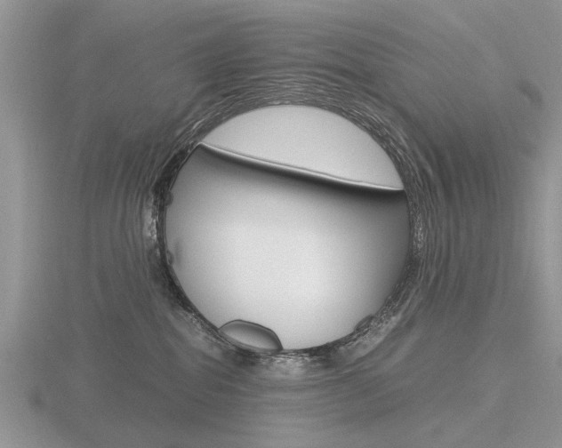 X0000116600282200912110946