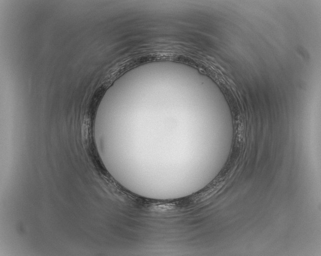 X0000116600283200912110946