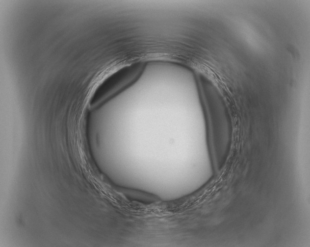 X0000116600289200912110946