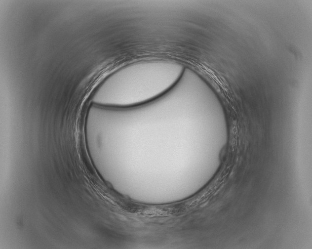 X0000116600290200912110946