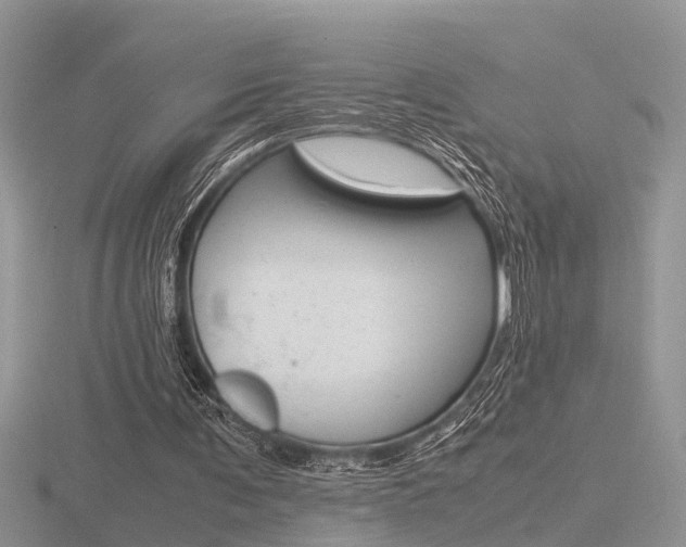 X0000116600291200912110946