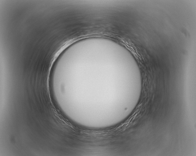 X0000116600292200912110946