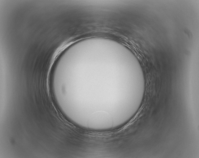 X0000116600294200912110946