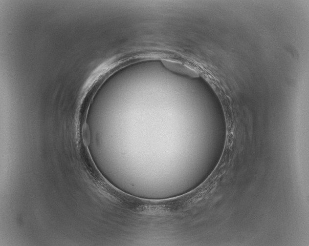 X0000116600296200912110946