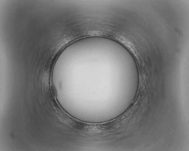 X0000116600297200912110946