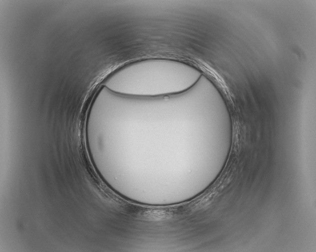 X0000116600298200912110946