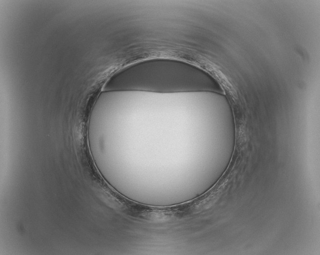 X0000116600305200912110945