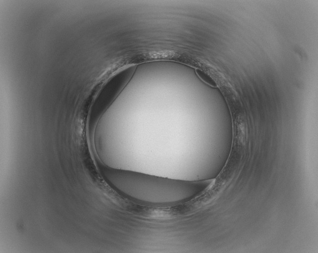 X0000116600308200912110945