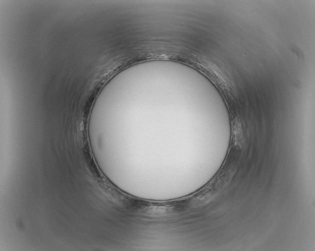 X0000116600314200912110945