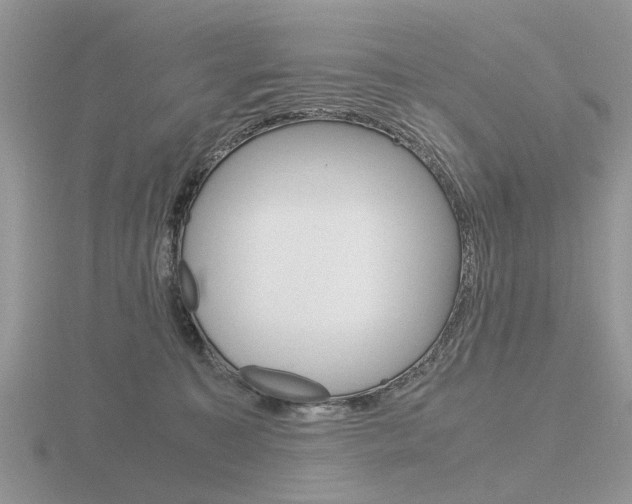 X0000116600323200912110945